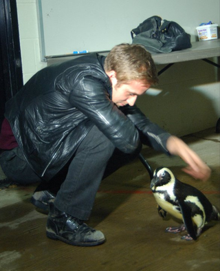Illustration for article titled Ryan Gosling Plays With Adorable Animals In Continued Effort To Fuck With Us